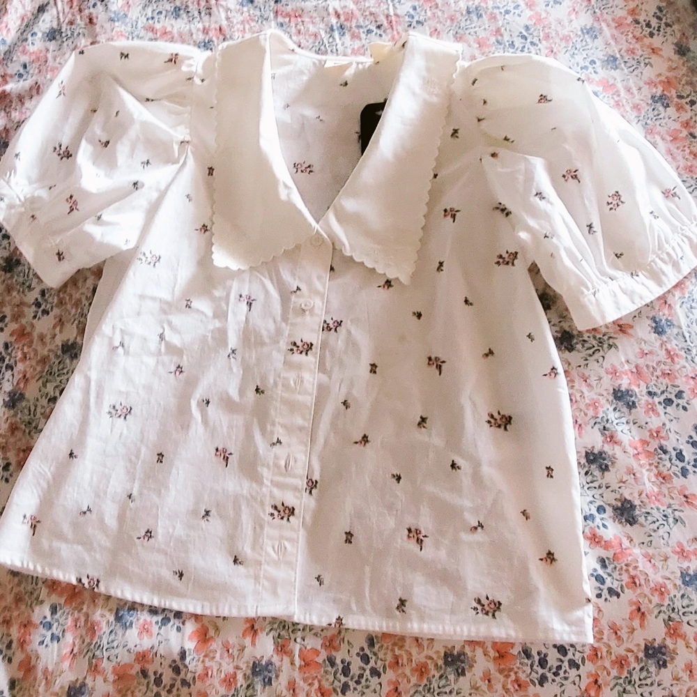 Doll collar blouse